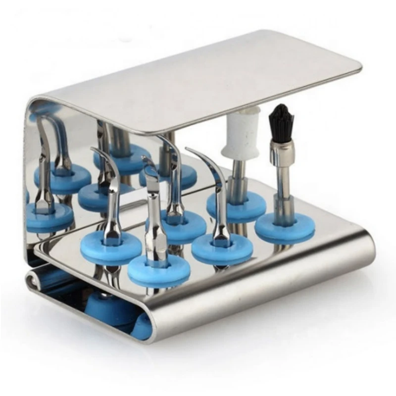 حامل رؤوس جهاز تنظيف الأسنان ب - مراجعة Autoclave Sterilizer Dental وسعره
